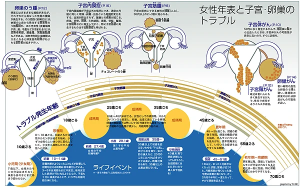 集英社 健康百科「女性年表と子宮・卵巣のトラブル」